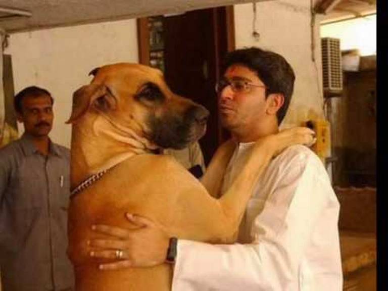 Raj Thackerey's wife gets bitten by pet dog
